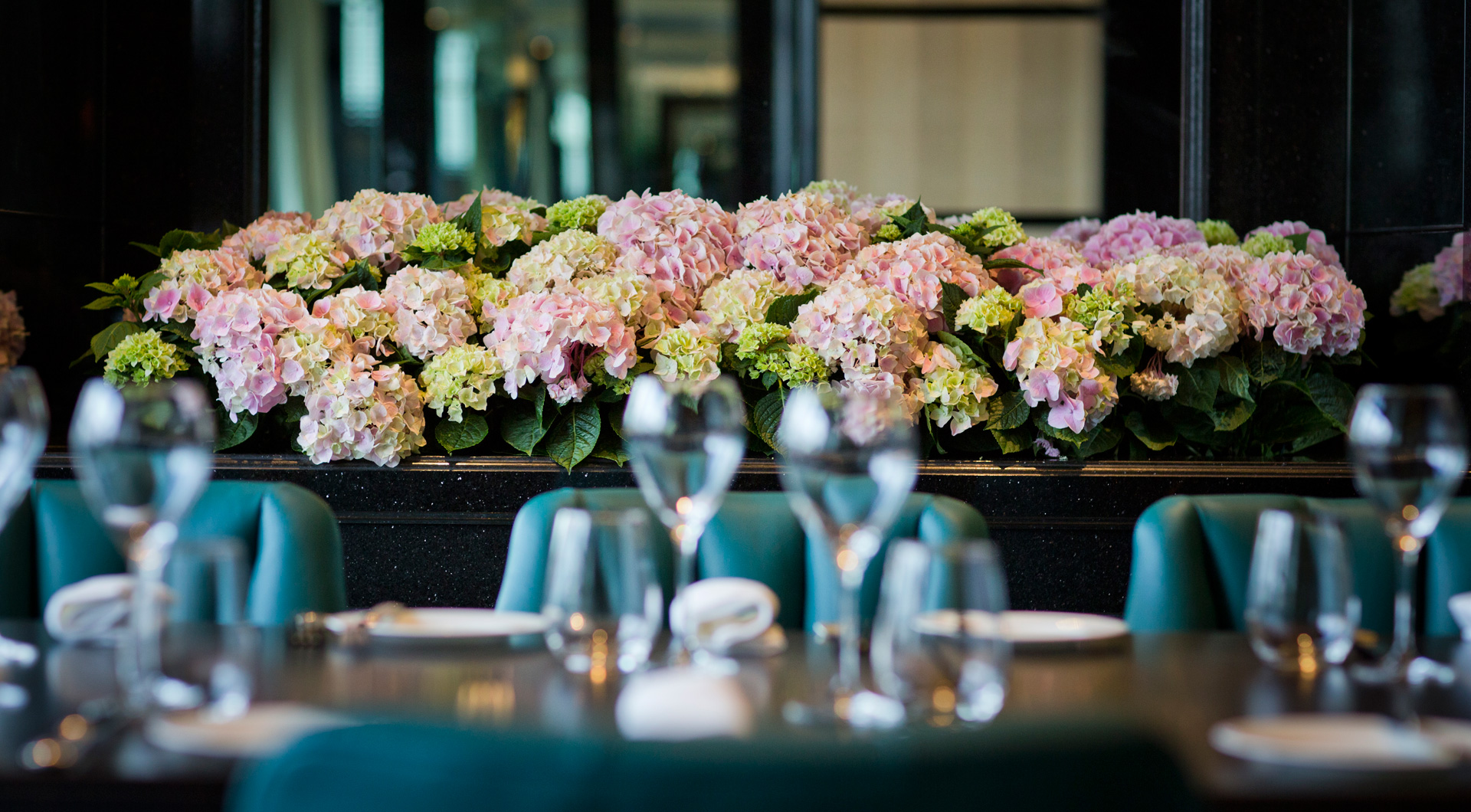 Hydrangeas Kaspars private dining