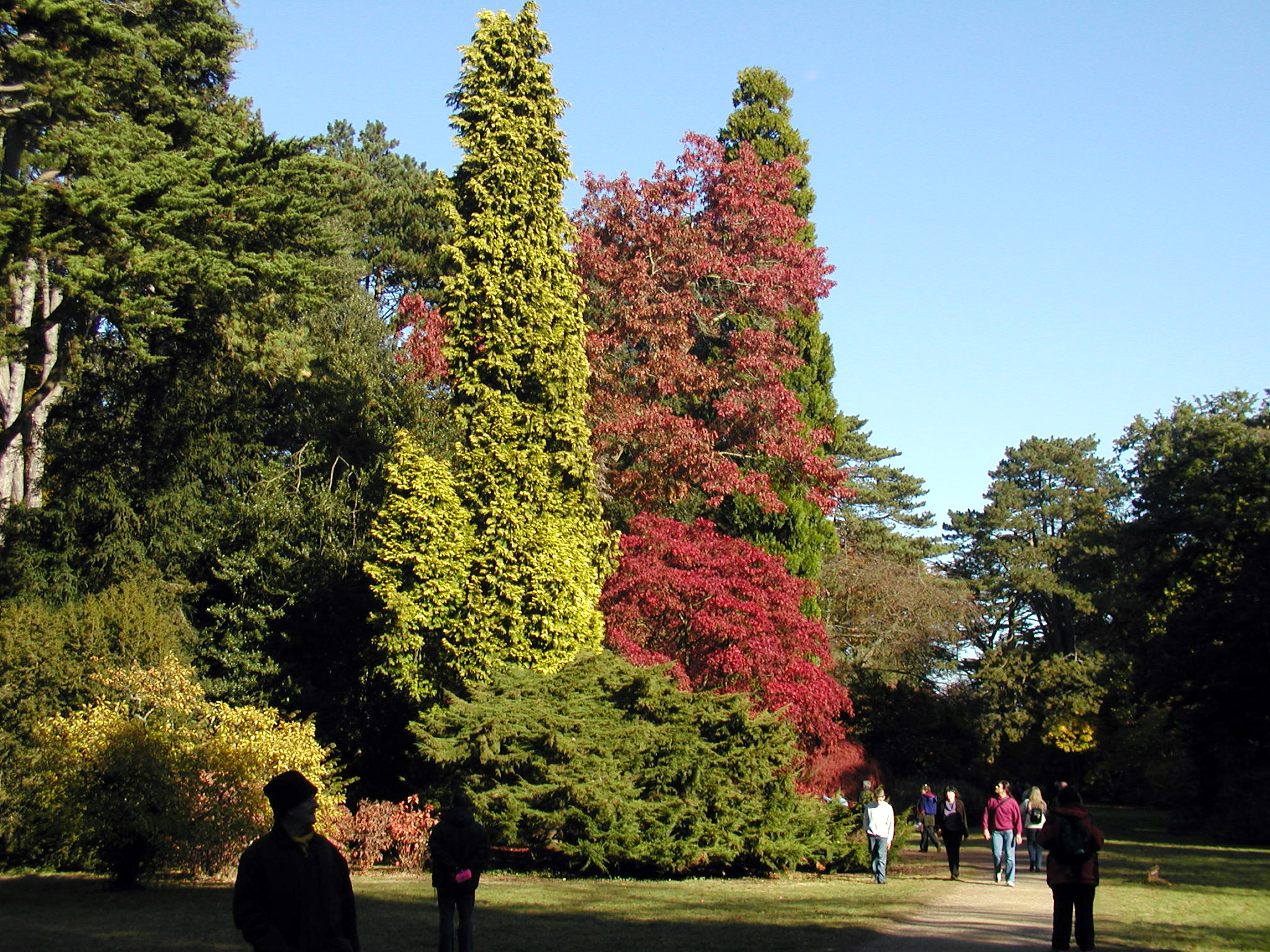 Westonbirt Treefest