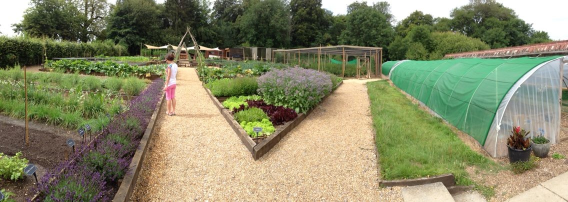 Kitchen Garden at Lainston House