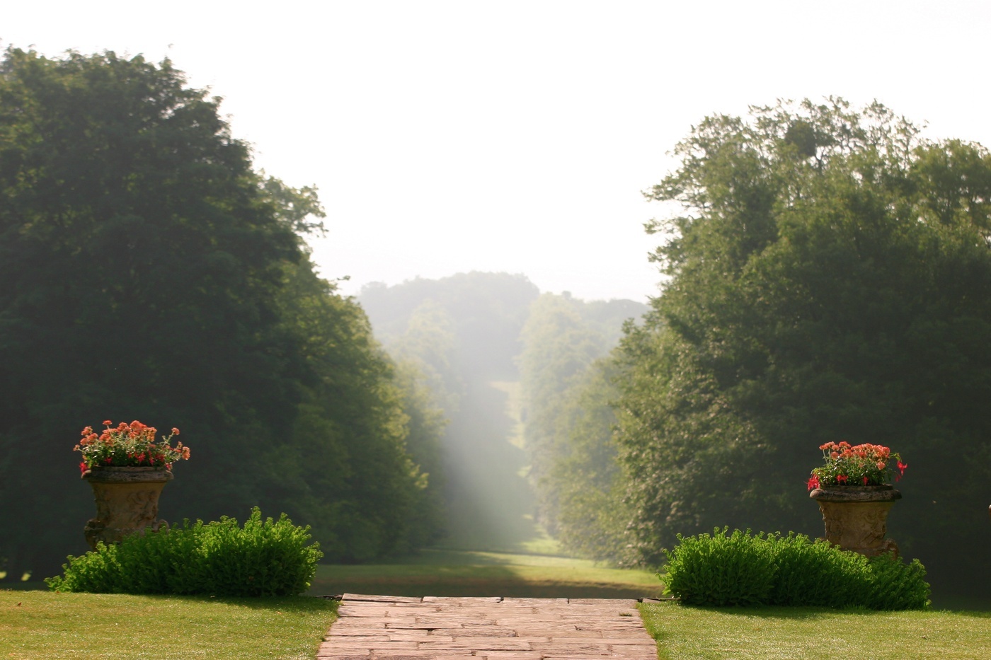 Mile long lime tree walk at Lainston House