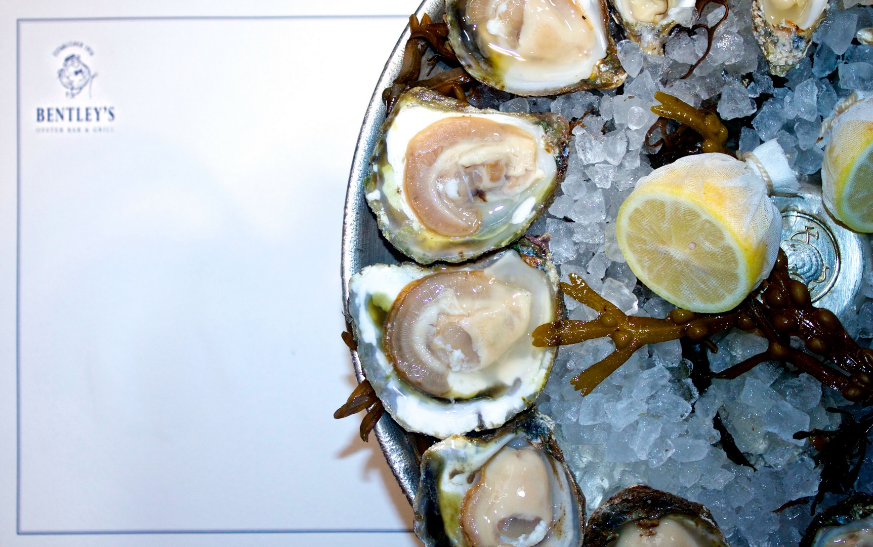 Oysters at Bentley's