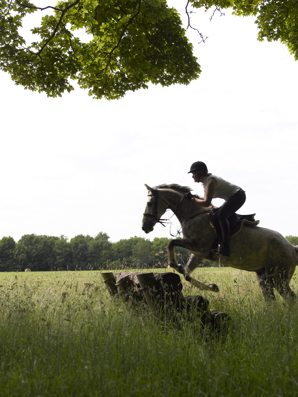 Cross country jumps at Lucknam Park