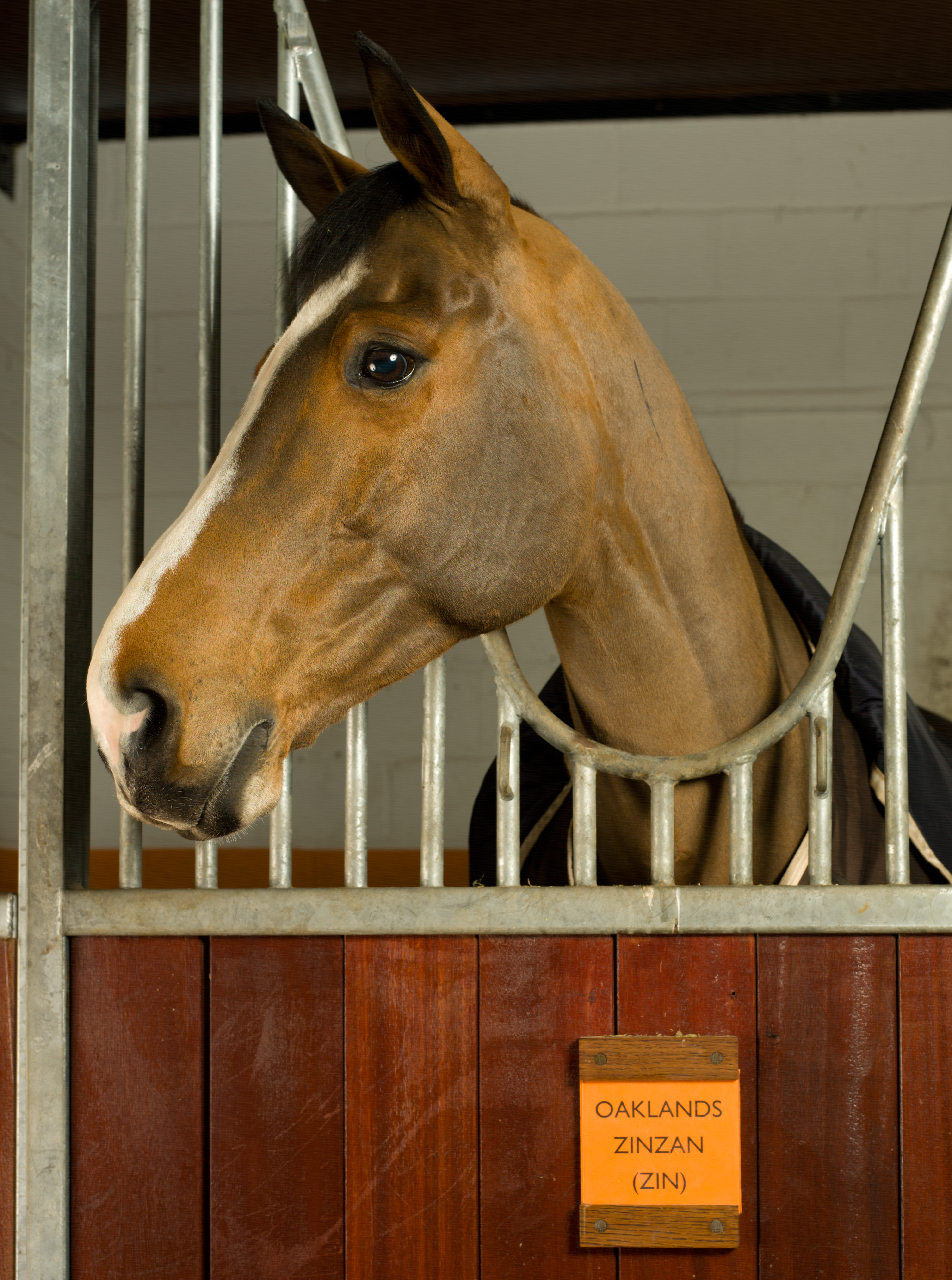 Equestrian at Coworth Park 2