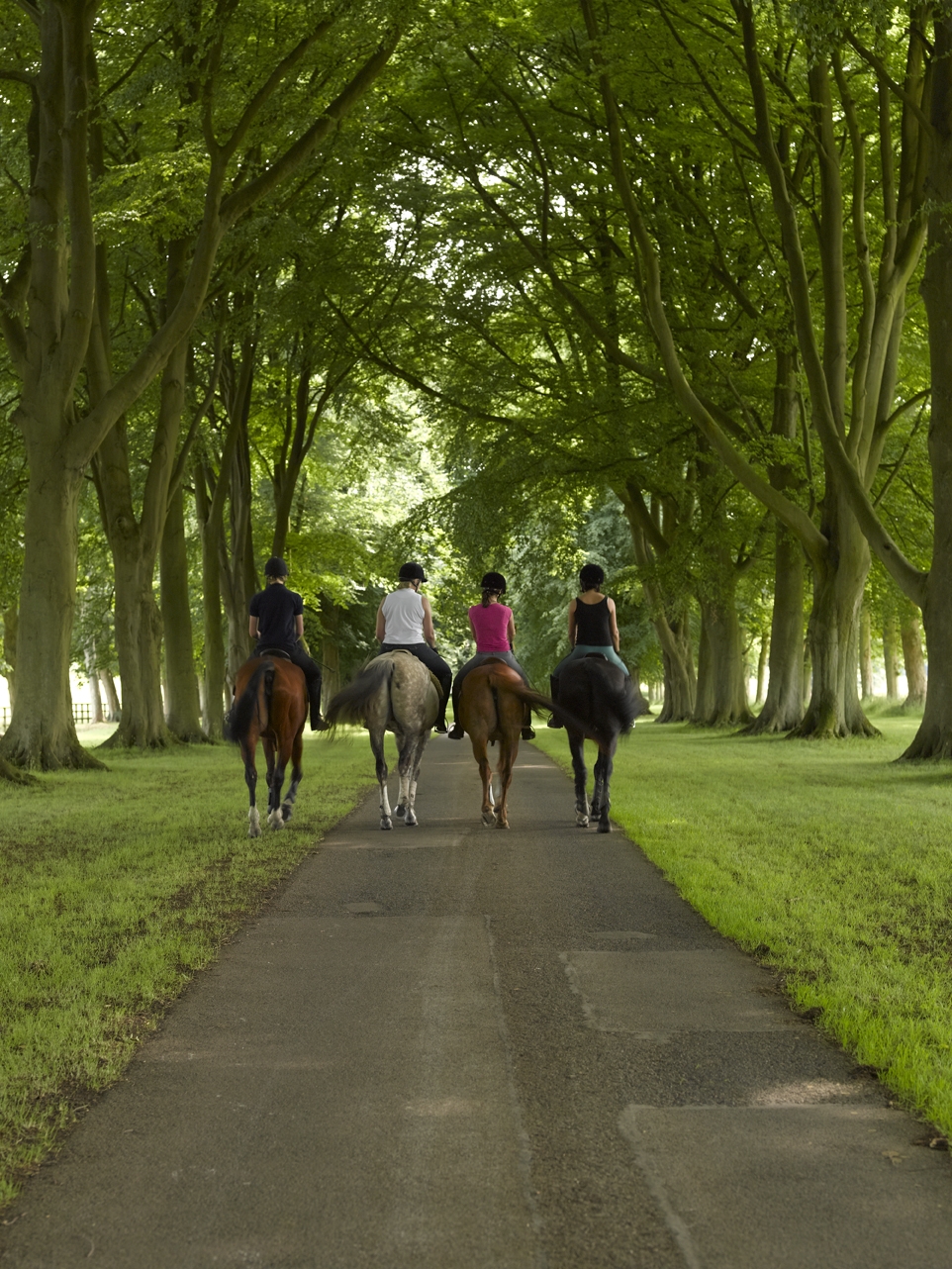 Group Ride at Luckham Park