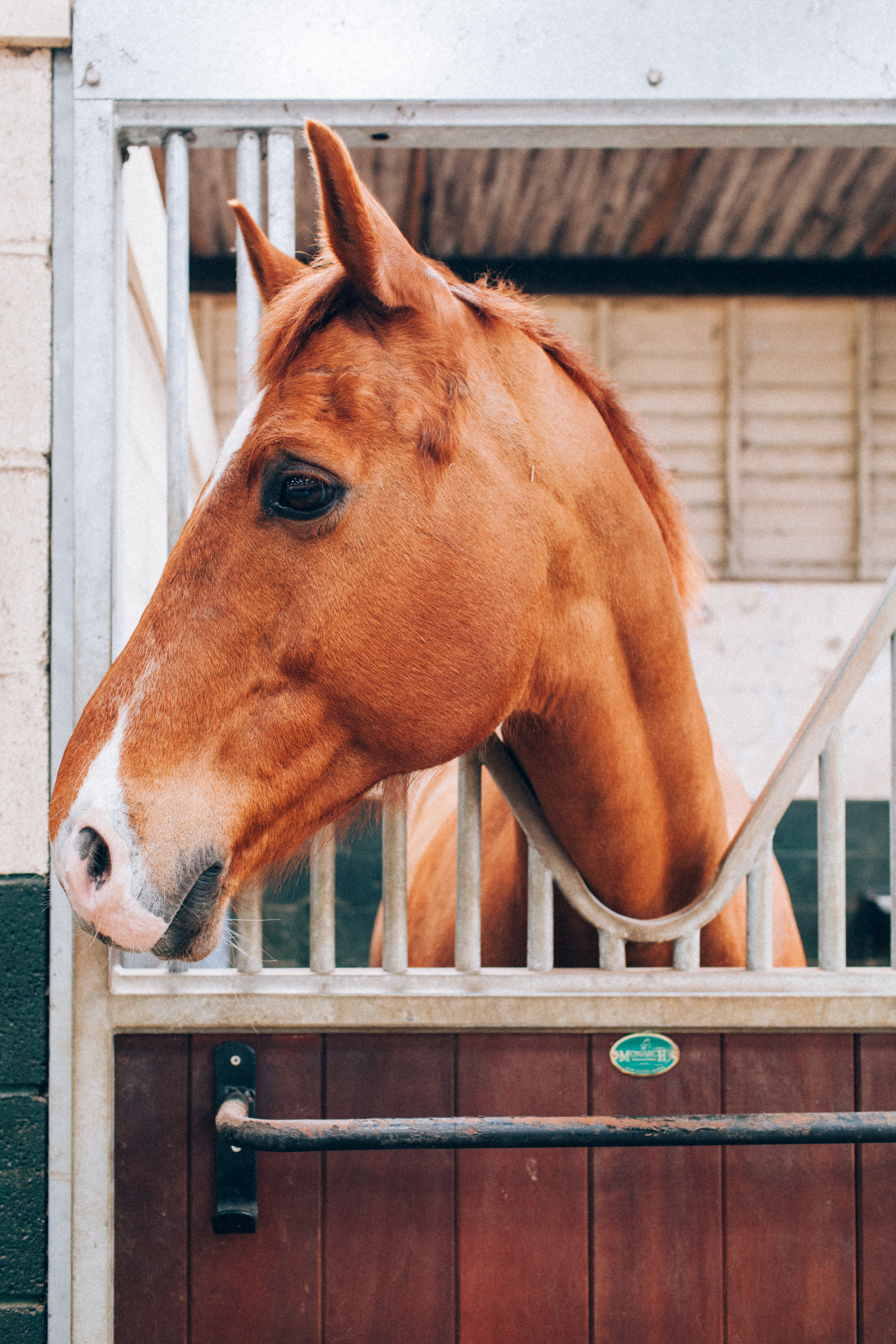 Lucknam Equestrian Centre