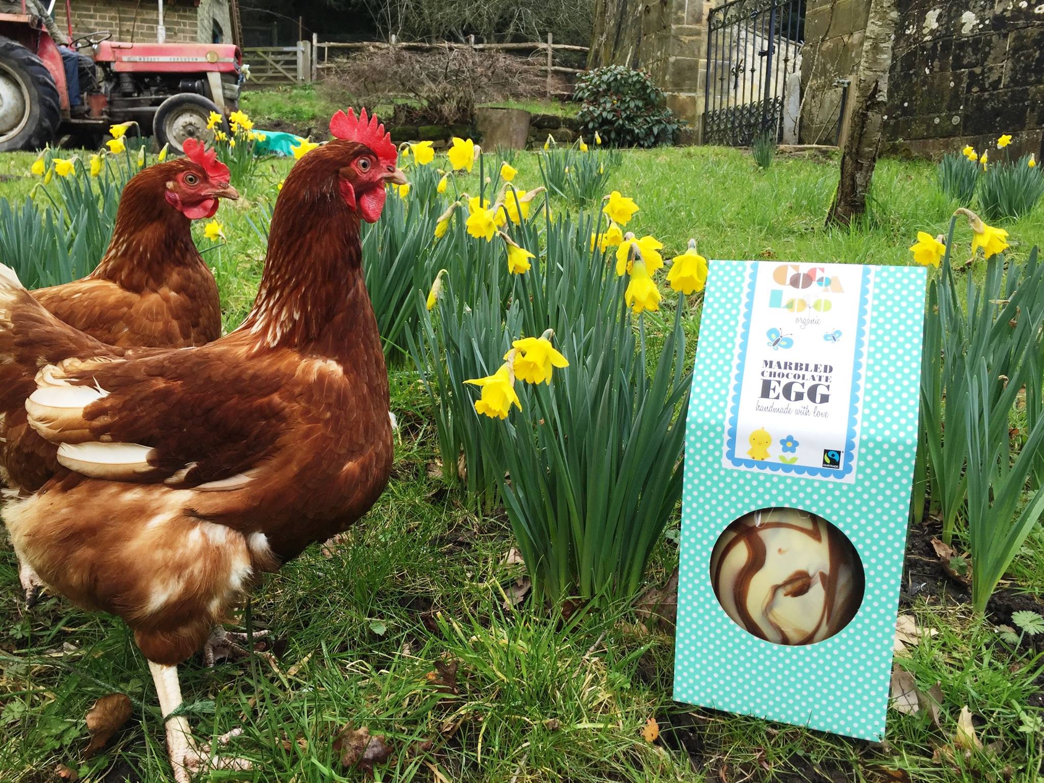 Hens at Gravetye Manor