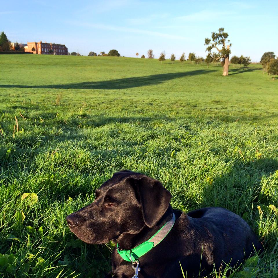 Four Seasons Hampshire resident Sir Oliver Beckington