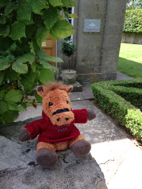 Chester the Horse mascot at Lucknam Park Hotel