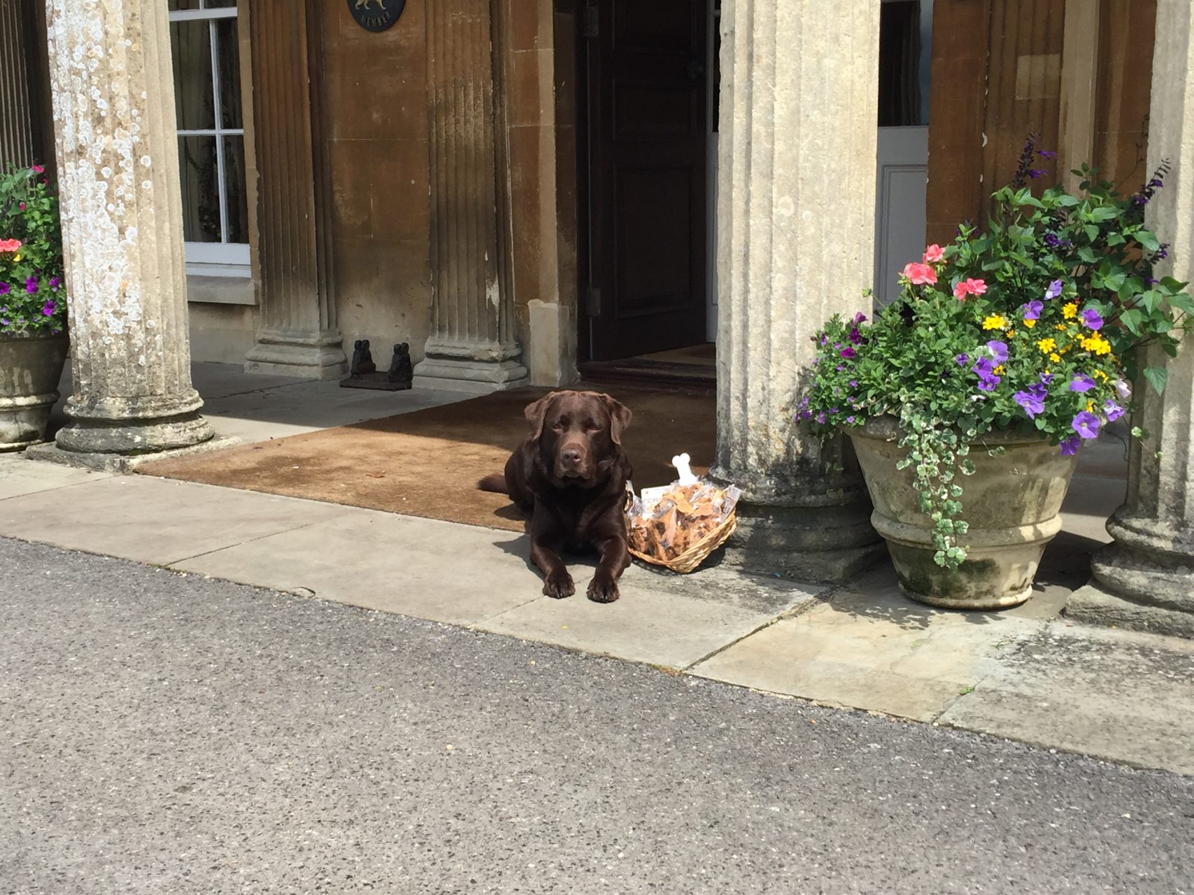 10 Of The Best DogFriendly Luxury Hotels In The UK Luxury Restaurant