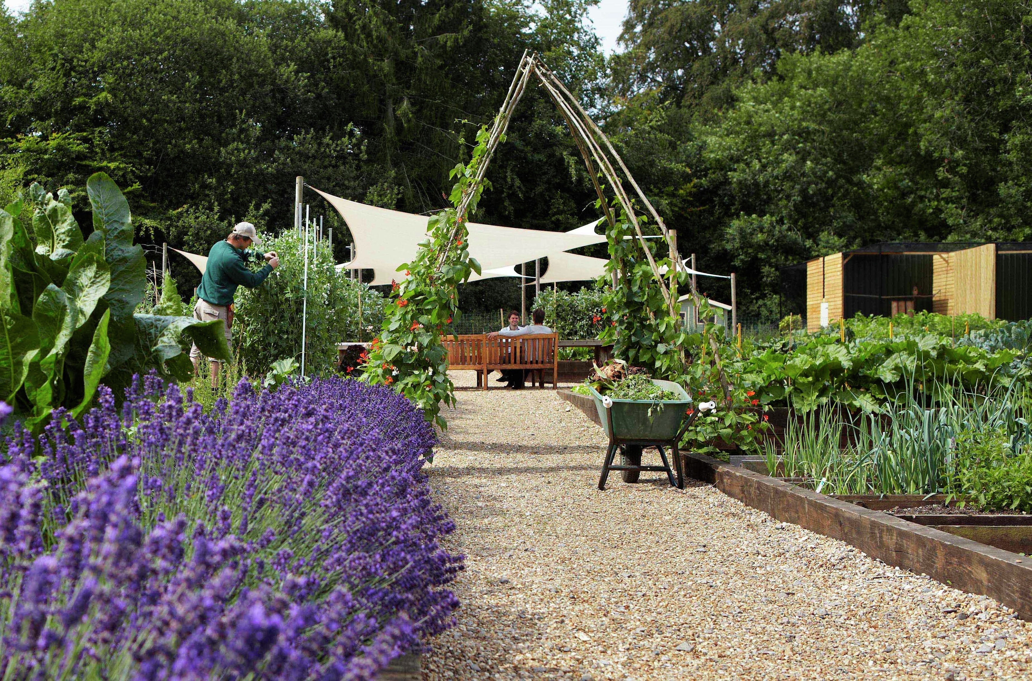 lainston kitchen garden 2