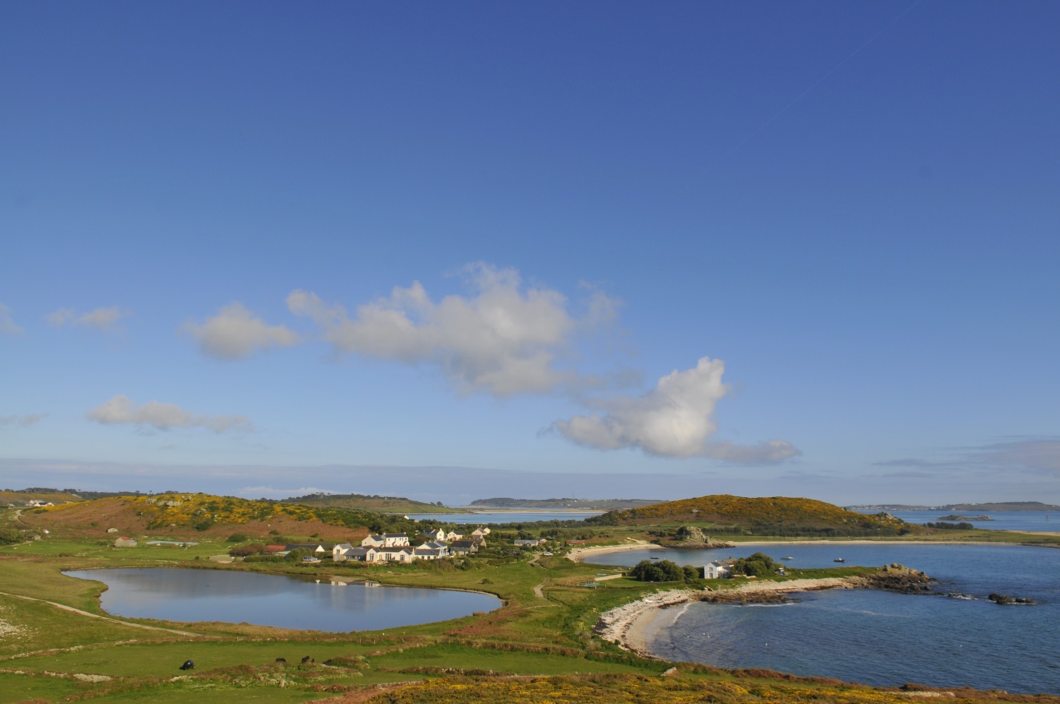 Tresco April 2011 (c) Adam White Photography 07787 411 094 adamgwhite@me.com