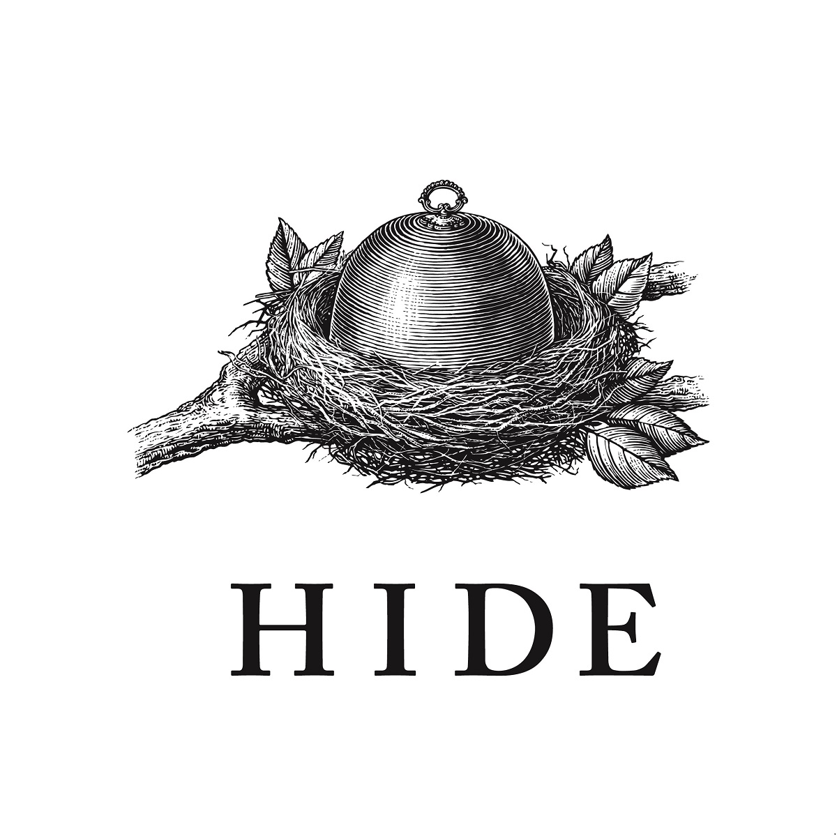 logo HIde