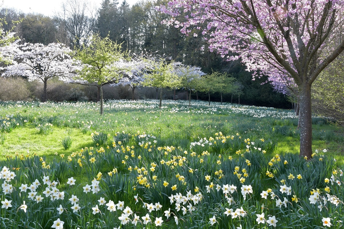 FADG2019tylneyhall01c-min