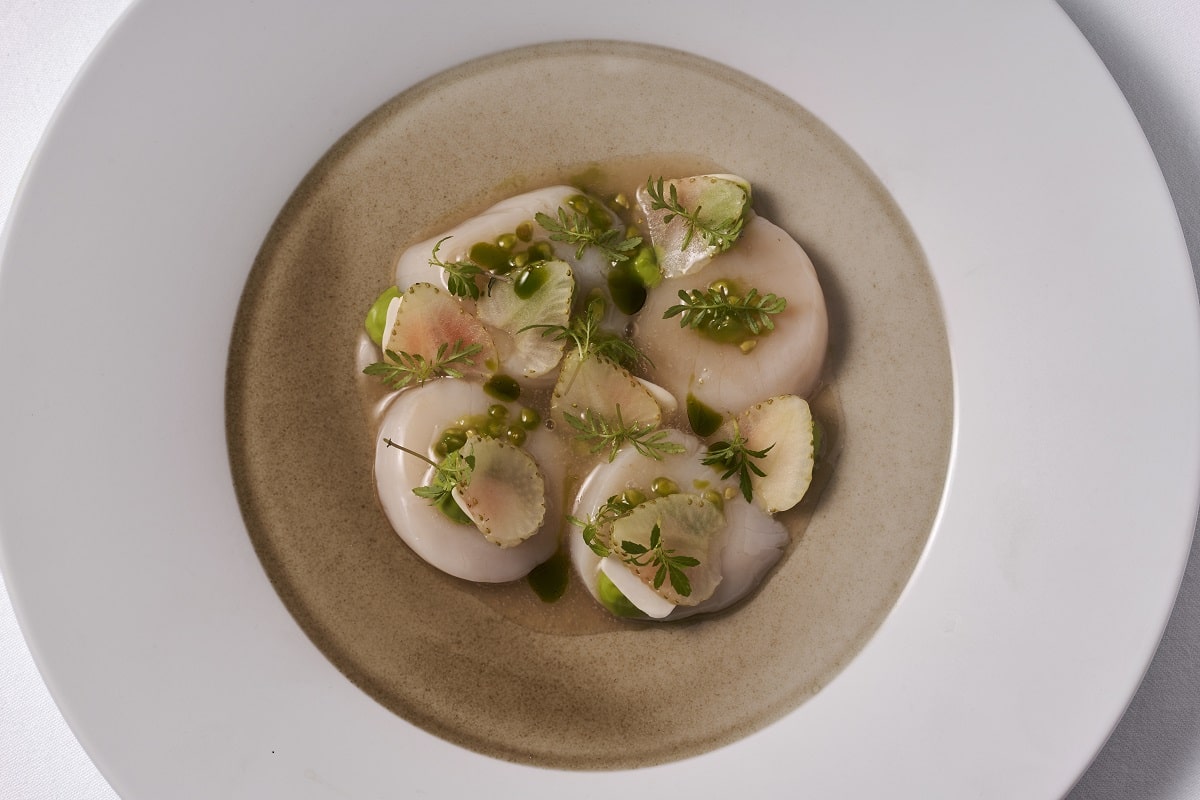 ADAM_SIMMONDS_CAPITAL_080819_SCALLOPS_5602_AW-min